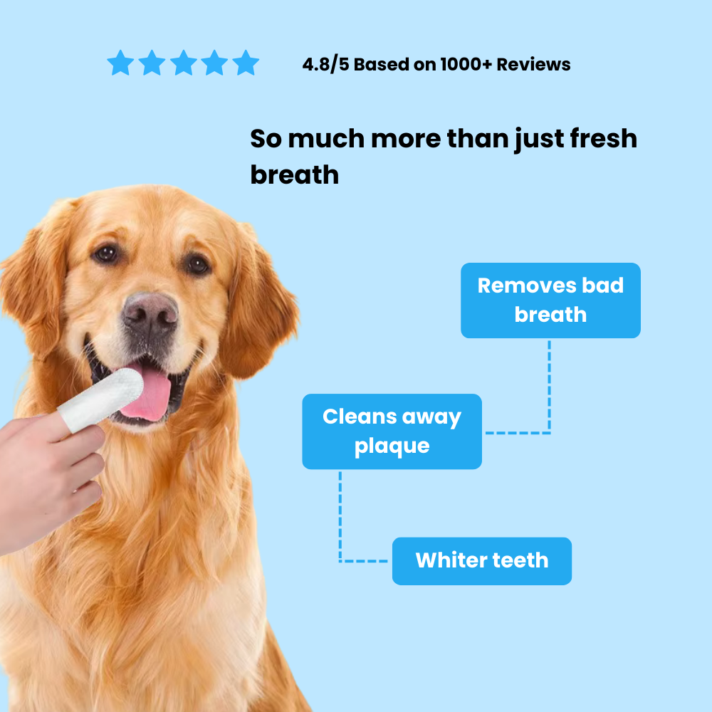 Finger Wipes for Pets