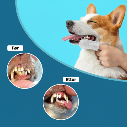 Fingerwipes for Kjæledyr