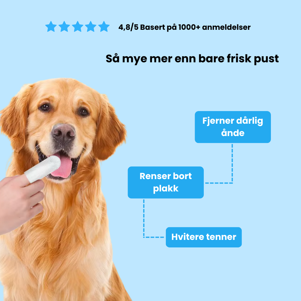 Fingerwipes for Kjæledyr