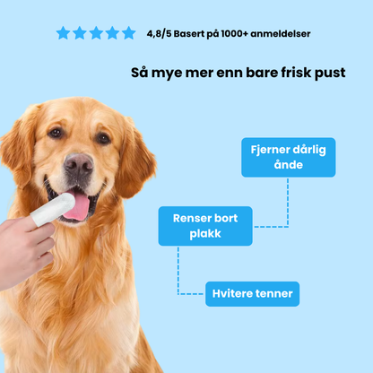 Fingerwipes for Kjæledyr