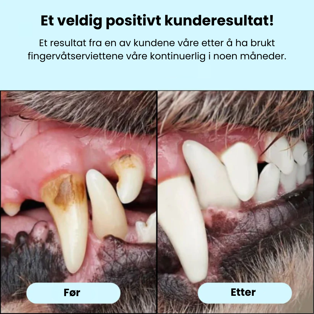 Fingerwipes for Kjæledyr