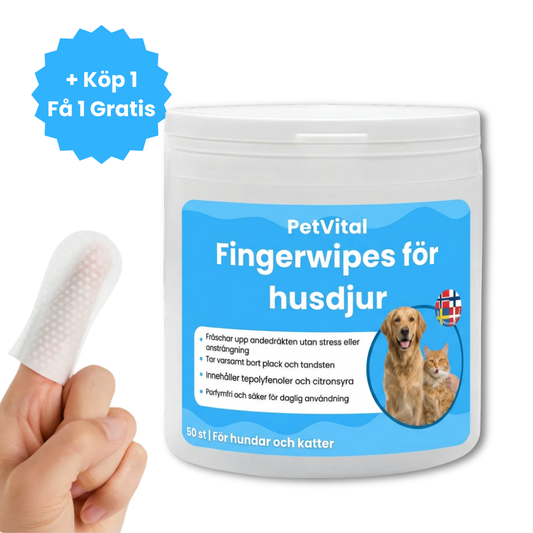 Fingerwipes för Husdjur